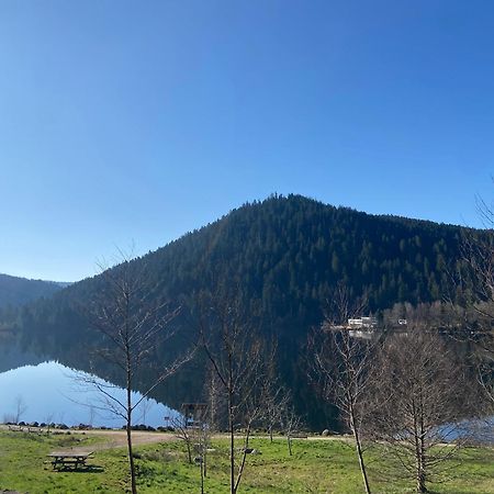Chalet Authentique Au Calme, En Lisiere De Foret, Montagne, Sentiers 15Mn Gerardmer & Alsace "Chalet Mon Beau Sapin" Anould Extérieur photo