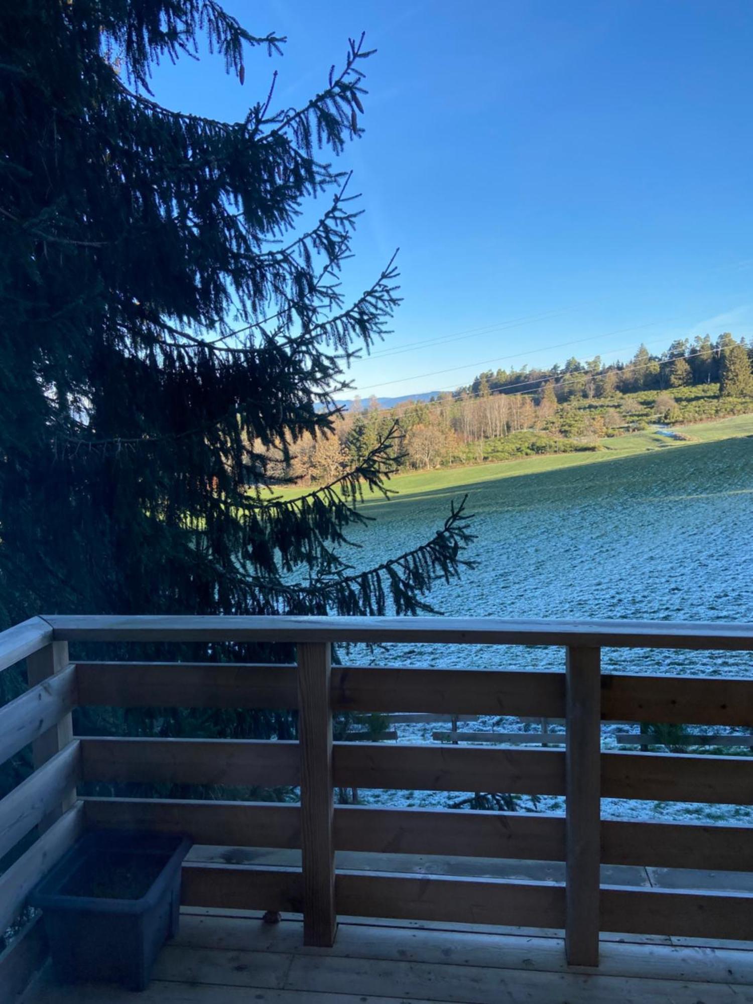 Chalet Authentique Au Calme, En Lisiere De Foret, Montagne, Sentiers 15Mn Gerardmer & Alsace "Chalet Mon Beau Sapin" Anould Extérieur photo