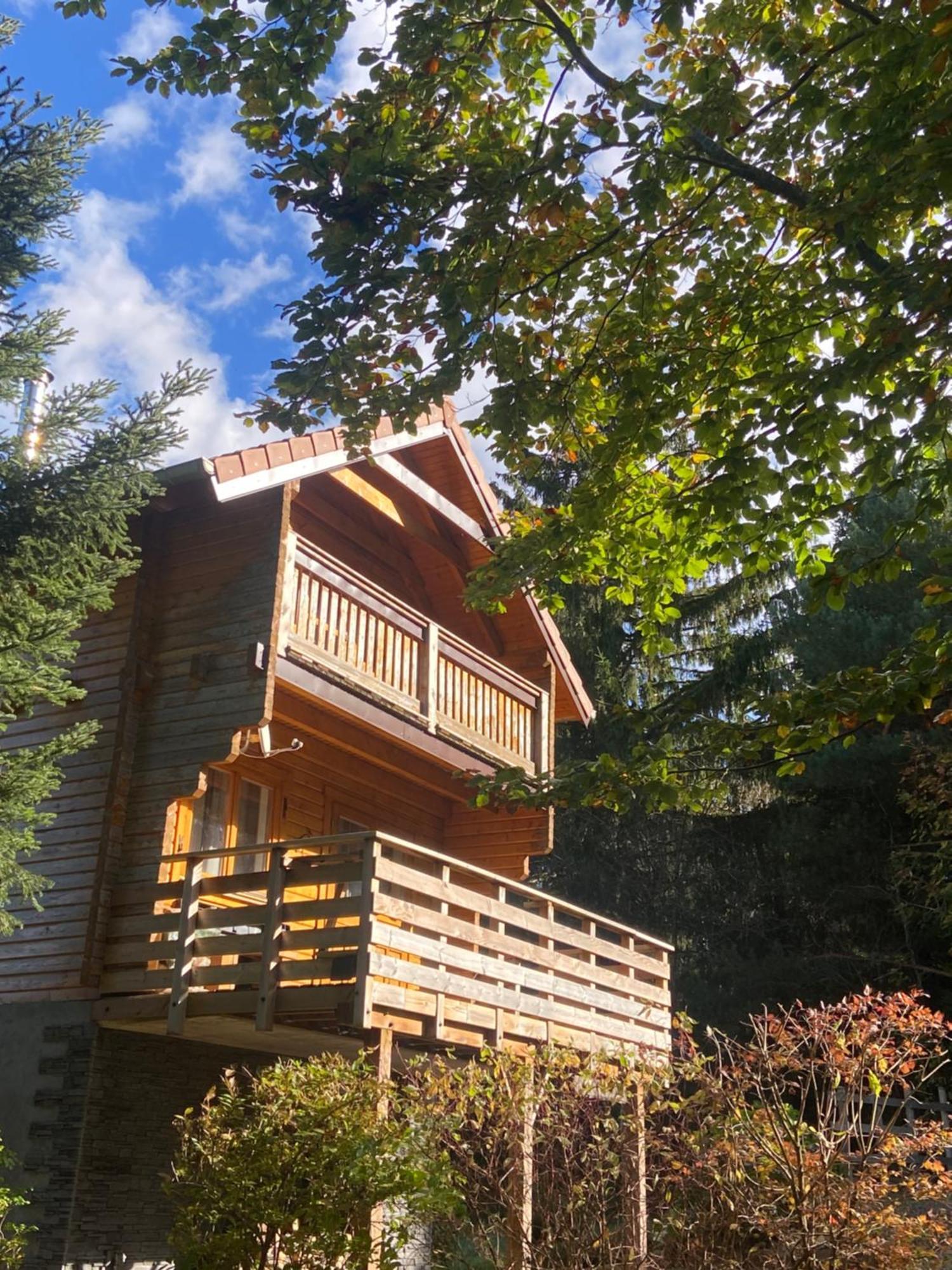 Chalet Authentique Au Calme, En Lisiere De Foret, Montagne, Sentiers 15Mn Gerardmer & Alsace "Chalet Mon Beau Sapin" Anould Extérieur photo