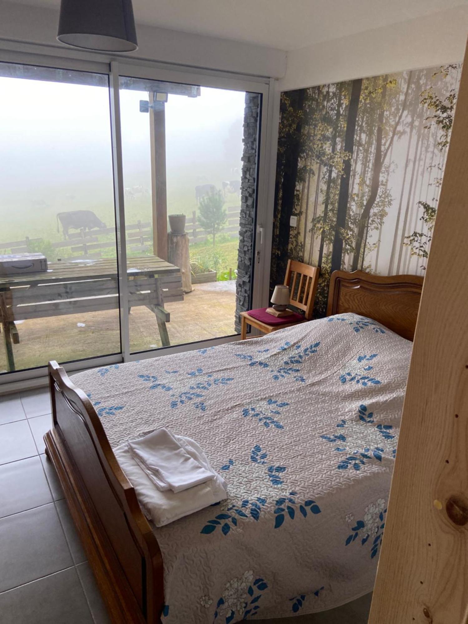 Chalet Authentique Au Calme, En Lisiere De Foret, Montagne, Sentiers 15Mn Gerardmer & Alsace "Chalet Mon Beau Sapin" Anould Extérieur photo