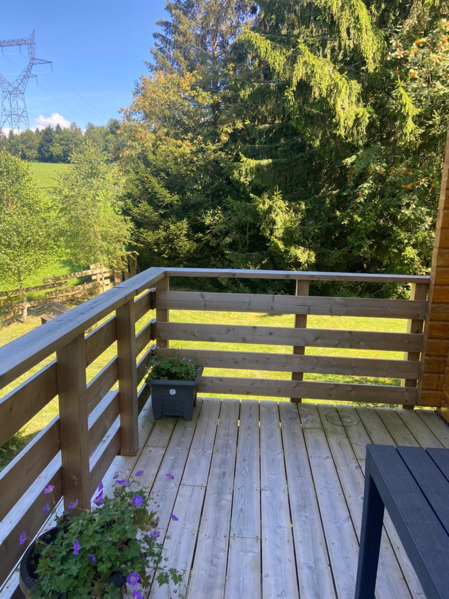 Chalet Authentique Au Calme, En Lisiere De Foret, Montagne, Sentiers 15Mn Gerardmer & Alsace "Chalet Mon Beau Sapin" Anould Extérieur photo