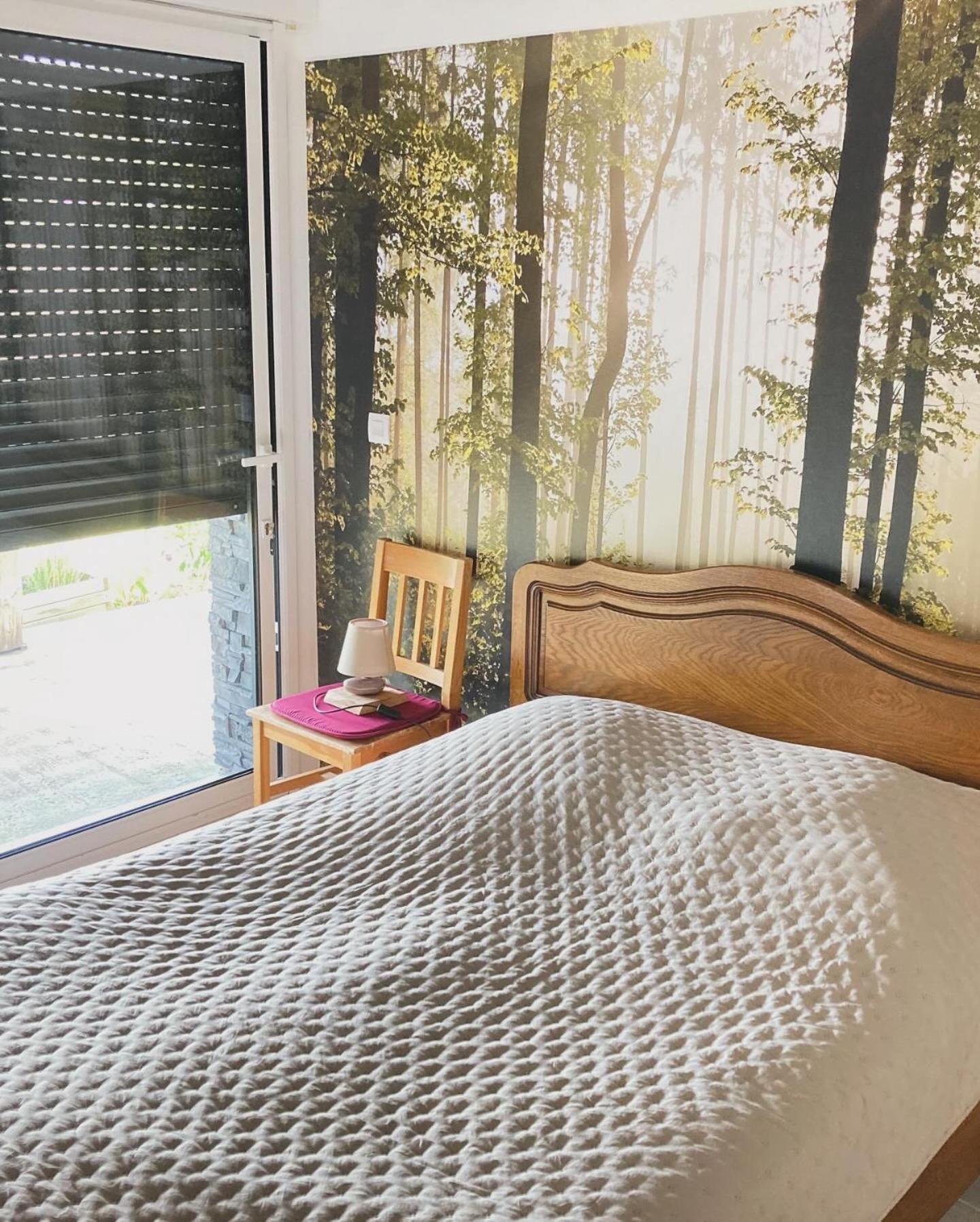 Chalet Authentique Au Calme, En Lisiere De Foret, Montagne, Sentiers 15Mn Gerardmer & Alsace "Chalet Mon Beau Sapin" Anould Extérieur photo
