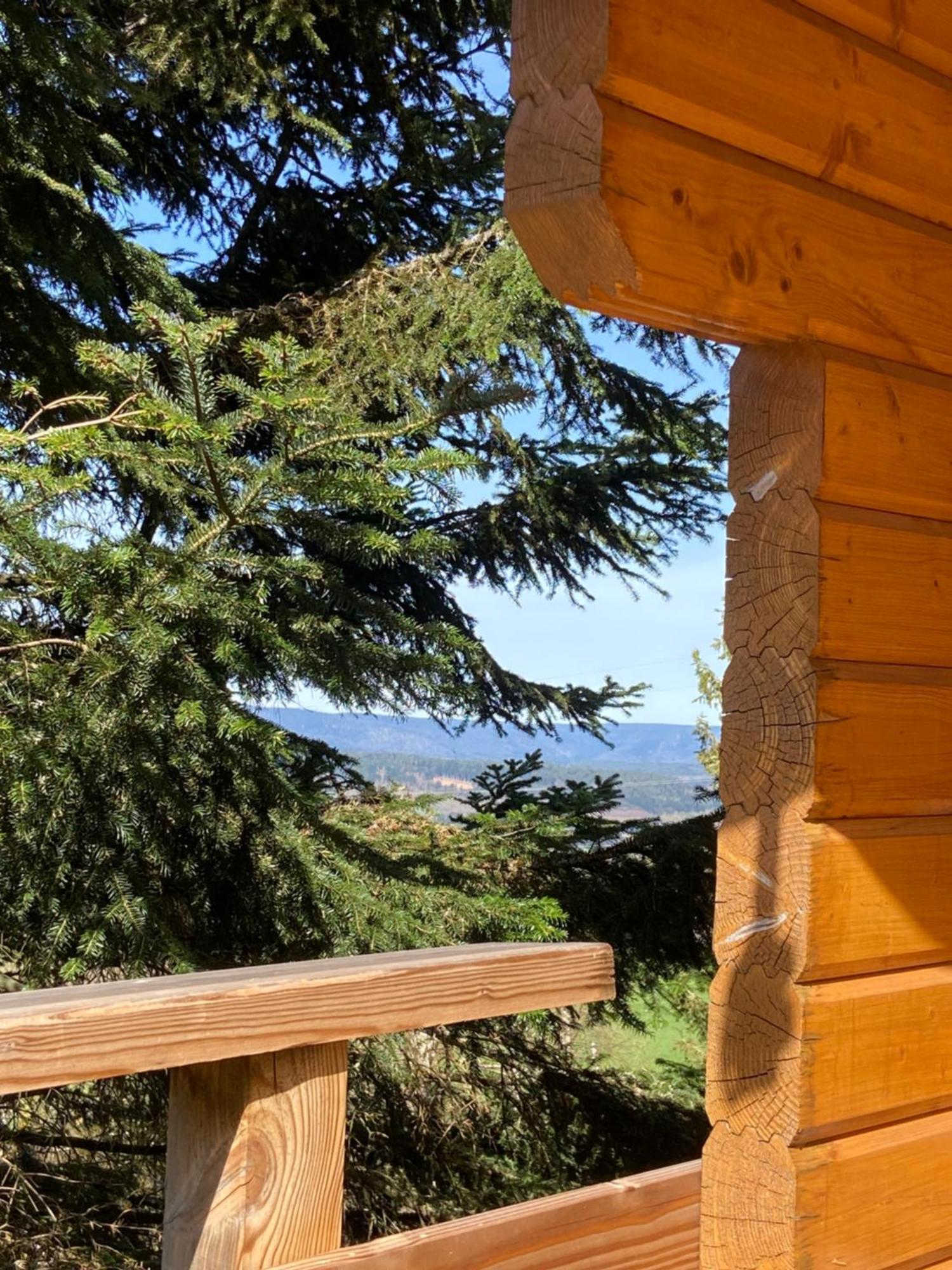 Chalet Authentique Au Calme, En Lisiere De Foret, Montagne, Sentiers 15Mn Gerardmer & Alsace "Chalet Mon Beau Sapin" Anould Extérieur photo