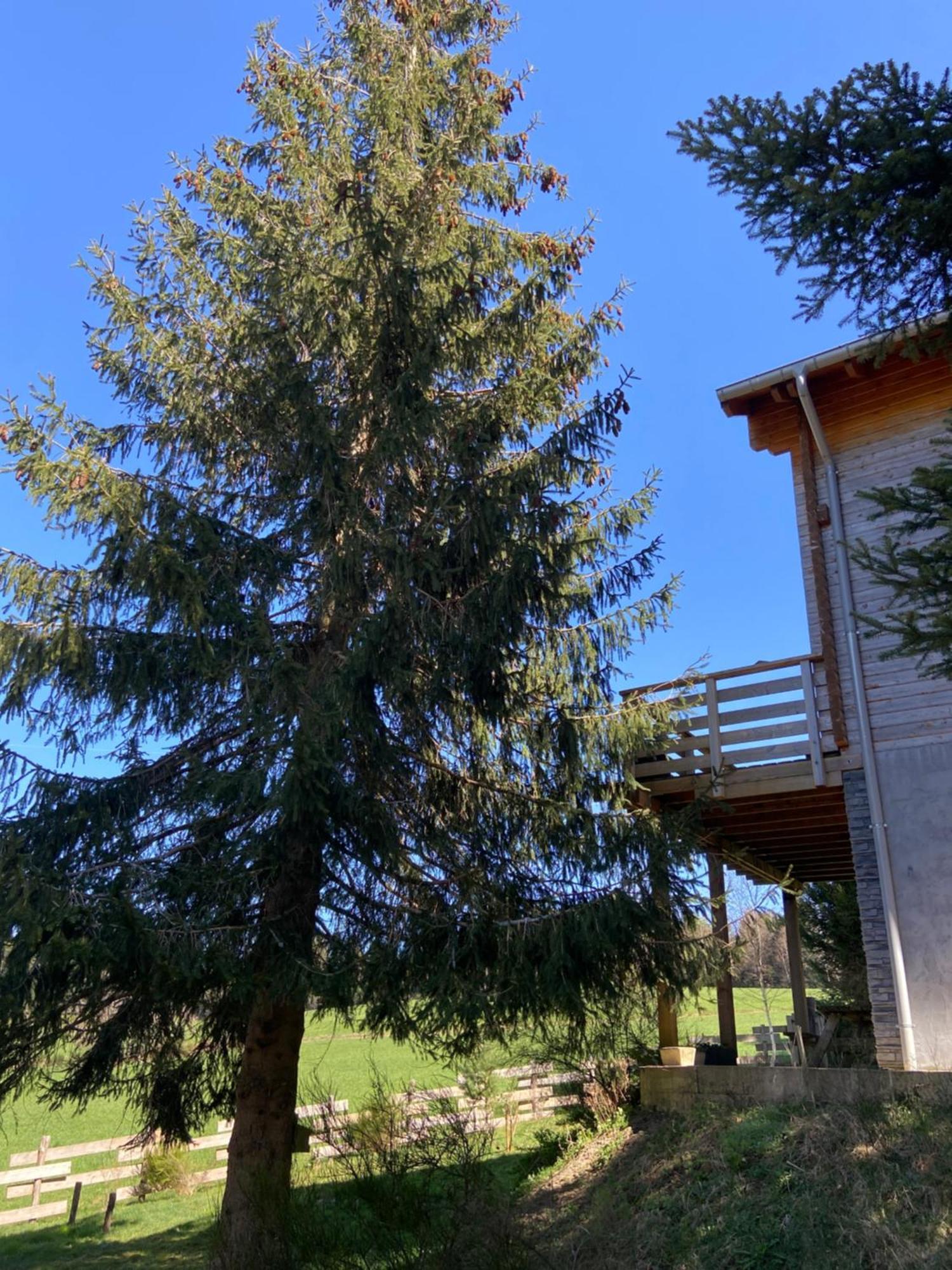 Chalet Authentique Au Calme, En Lisiere De Foret, Montagne, Sentiers 15Mn Gerardmer & Alsace "Chalet Mon Beau Sapin" Anould Extérieur photo