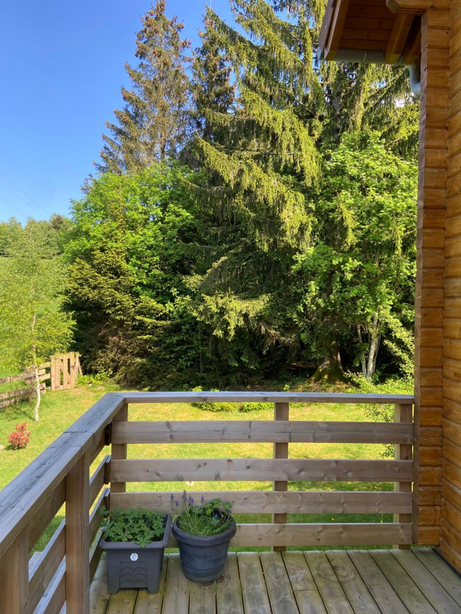 Chalet Authentique Au Calme, En Lisiere De Foret, Montagne, Sentiers 15Mn Gerardmer & Alsace "Chalet Mon Beau Sapin" Anould Extérieur photo